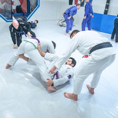 Bilder unserer Erwachsenen beim BJJ-Training