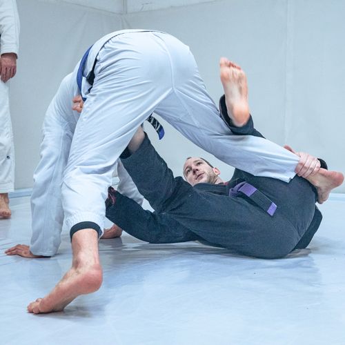 Bilder unserer Erwachsenen beim BJJ-Training