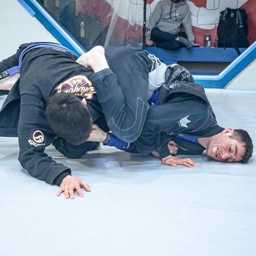 Bilder unserer Erwachsenen beim BJJ-Training