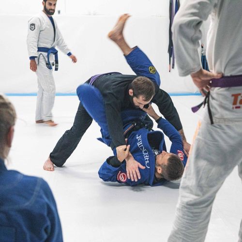 Bilder unserer Erwachsenen beim BJJ-Training