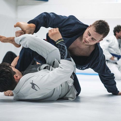 Bilder unserer Erwachsenen beim BJJ-Training