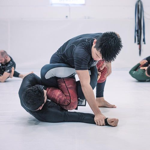 Bilder unserer Erwachsenen beim BJJ-Training