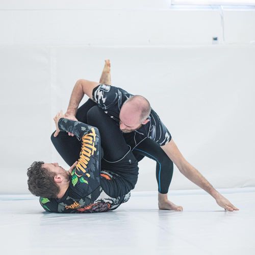 Bilder unserer Erwachsenen beim BJJ-Training